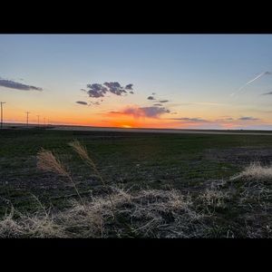 Meet your Posher, Abbie